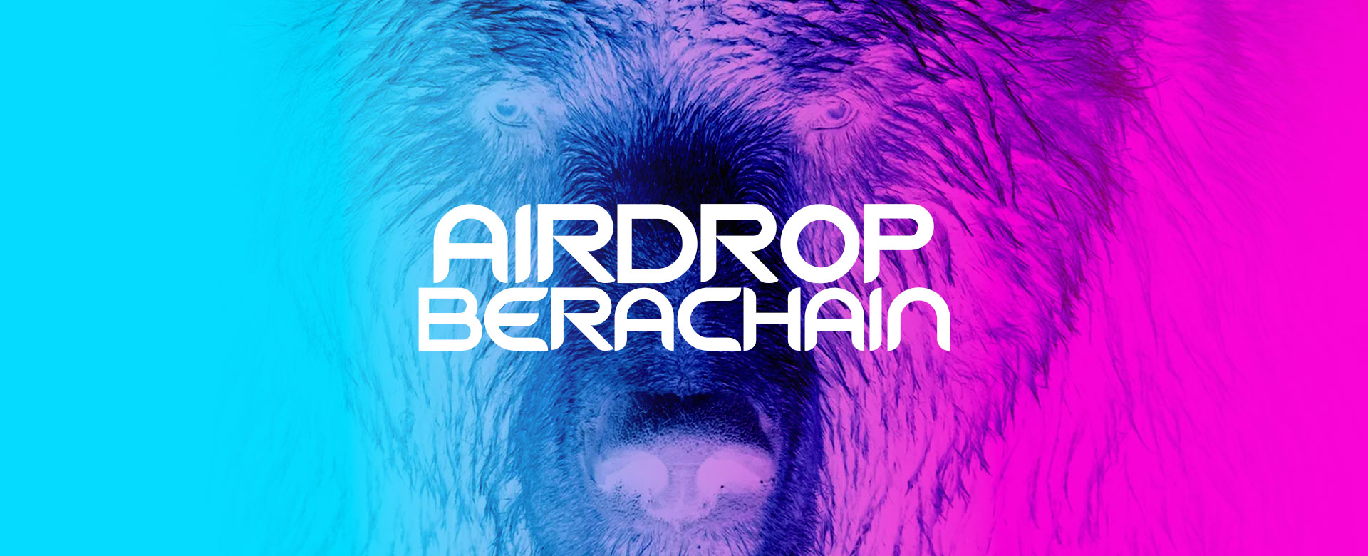 Airdrop crypto BGT Berachain : Ours et Miel