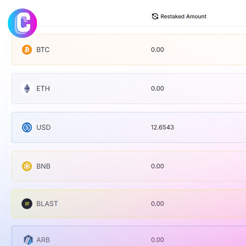 Airdrop Crypto Karak - Portfolio